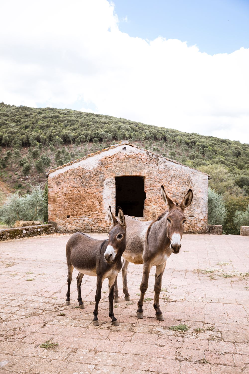 TUSCANY Retreat Deposit!