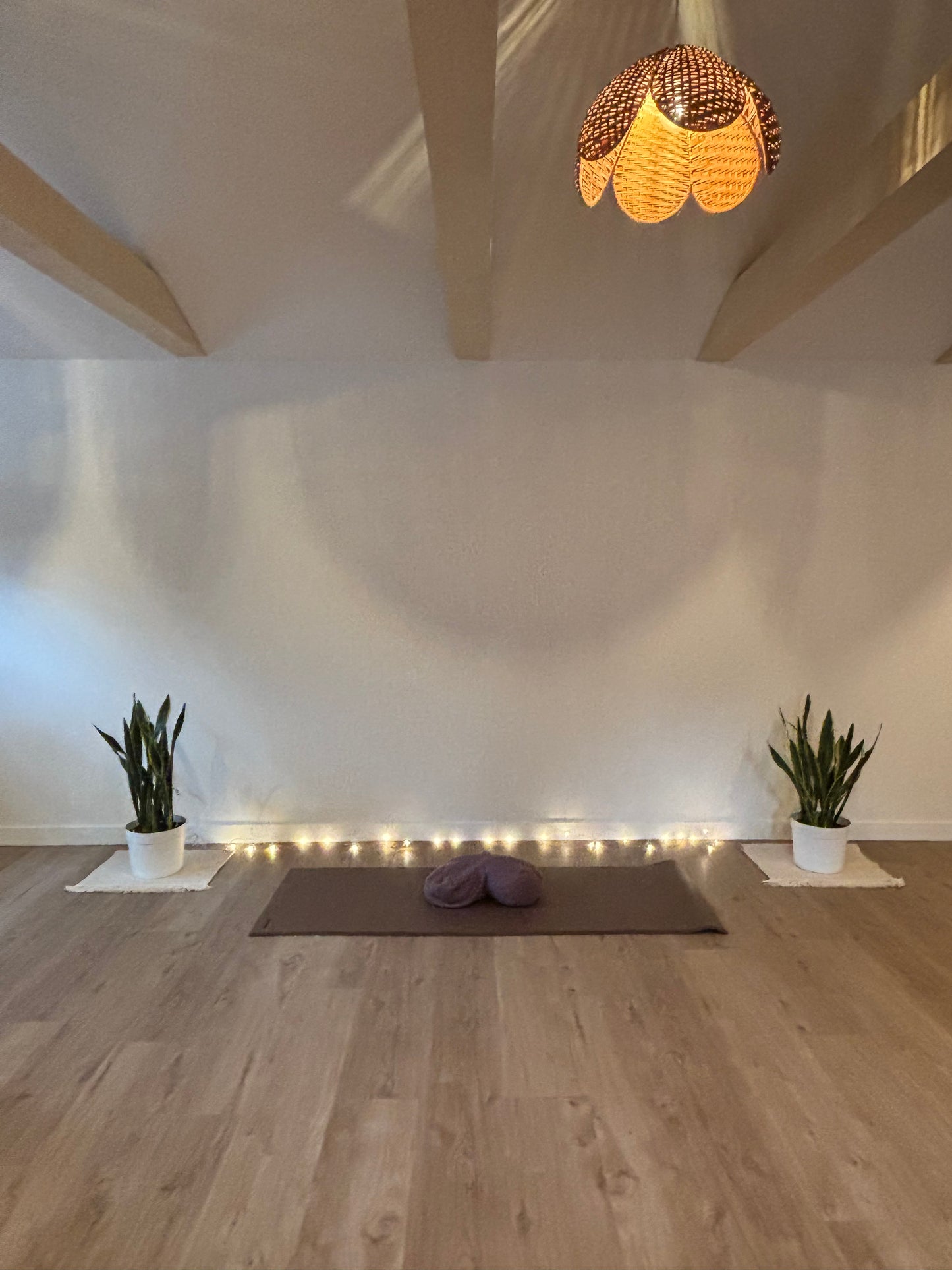 Single Yoga Pass