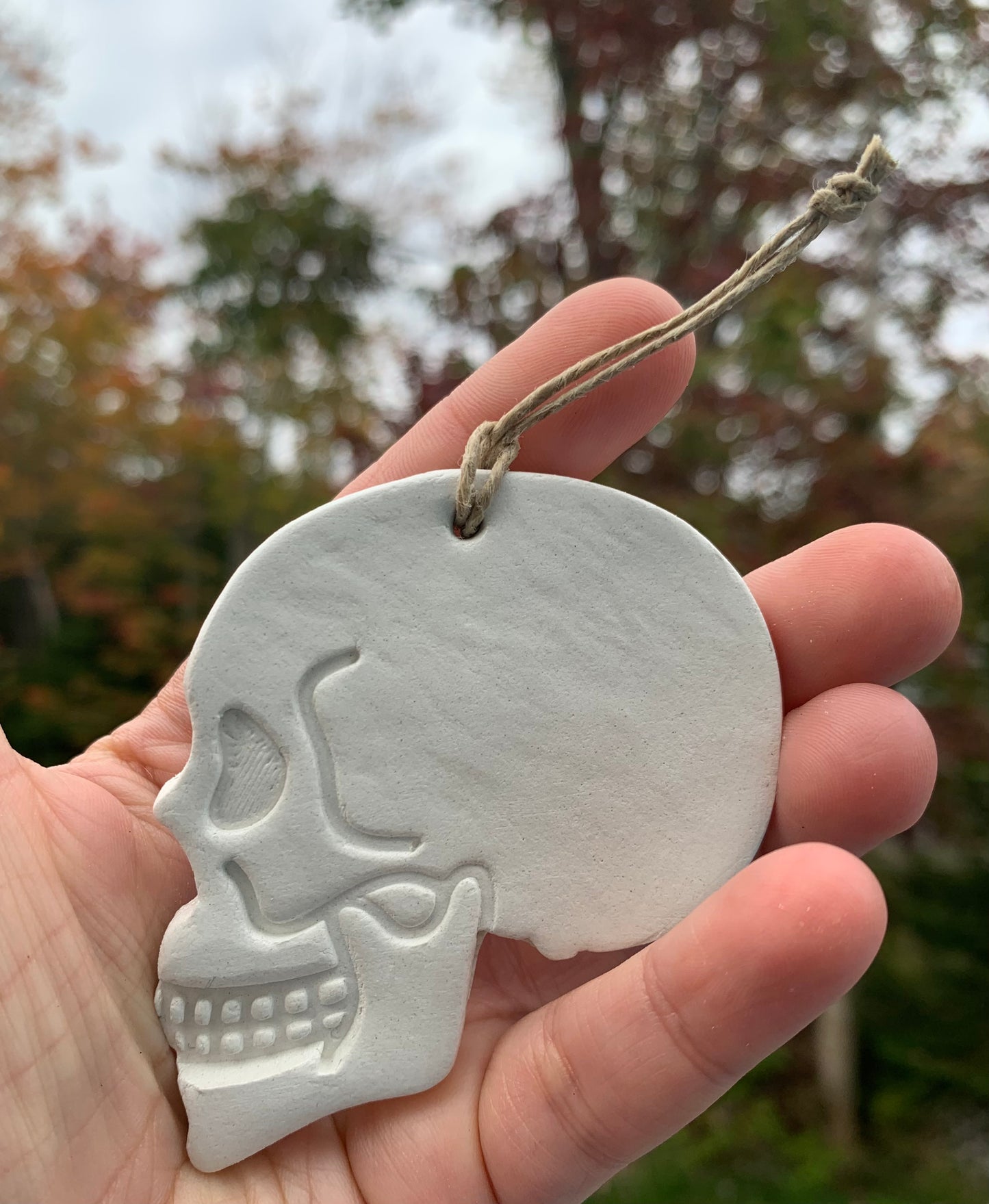 Skull Ornament