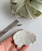 Brain Jewelry Dish